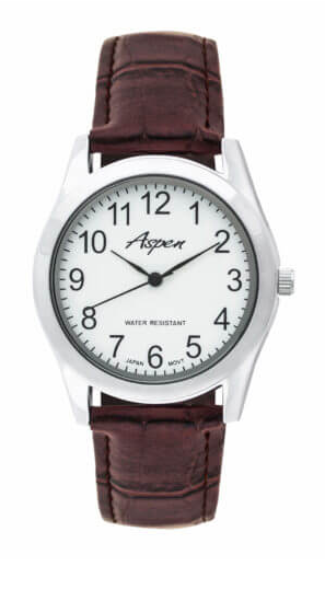 Montre Aspen AP3006BR